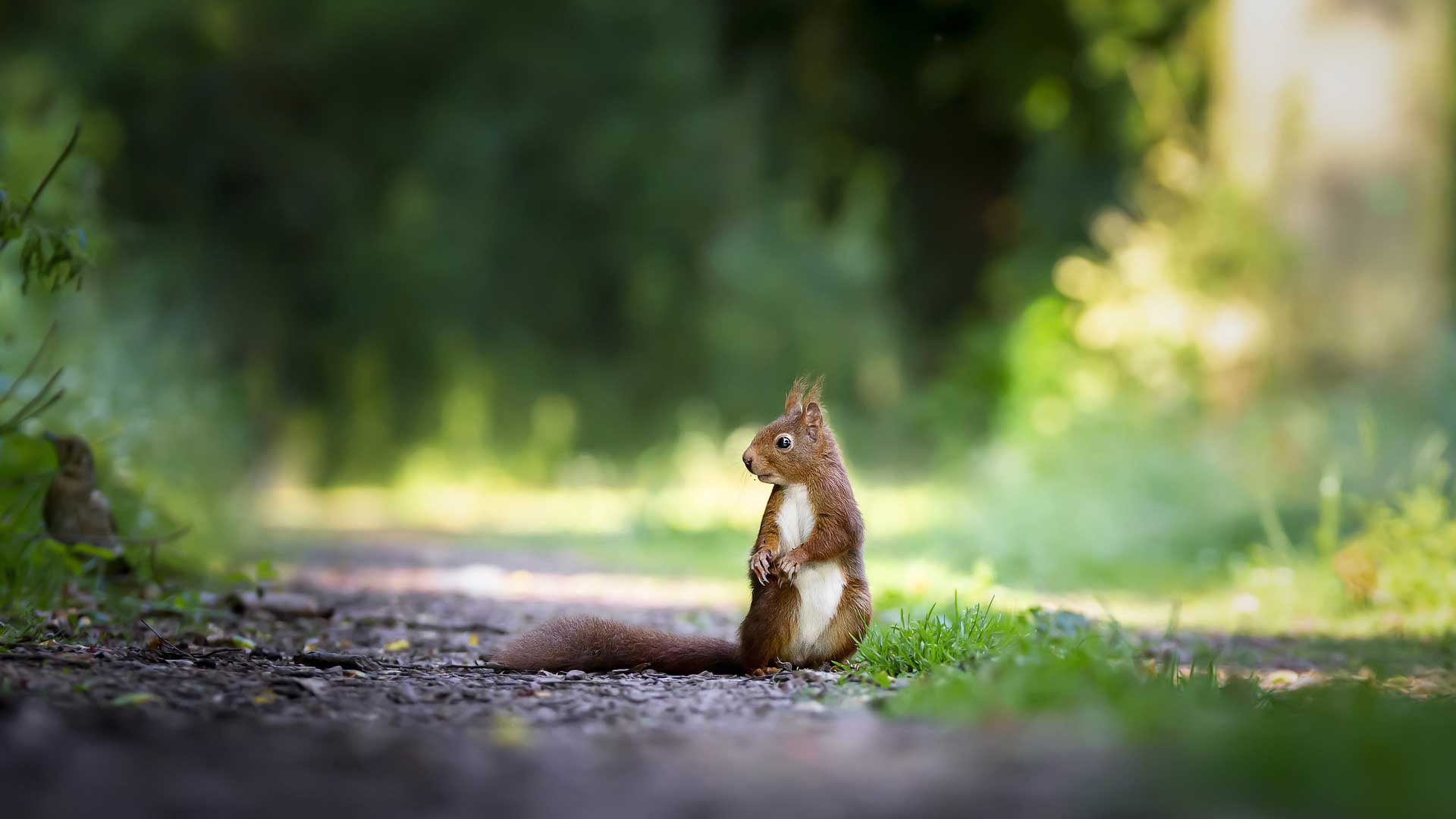 A photo of Animals & Nature
