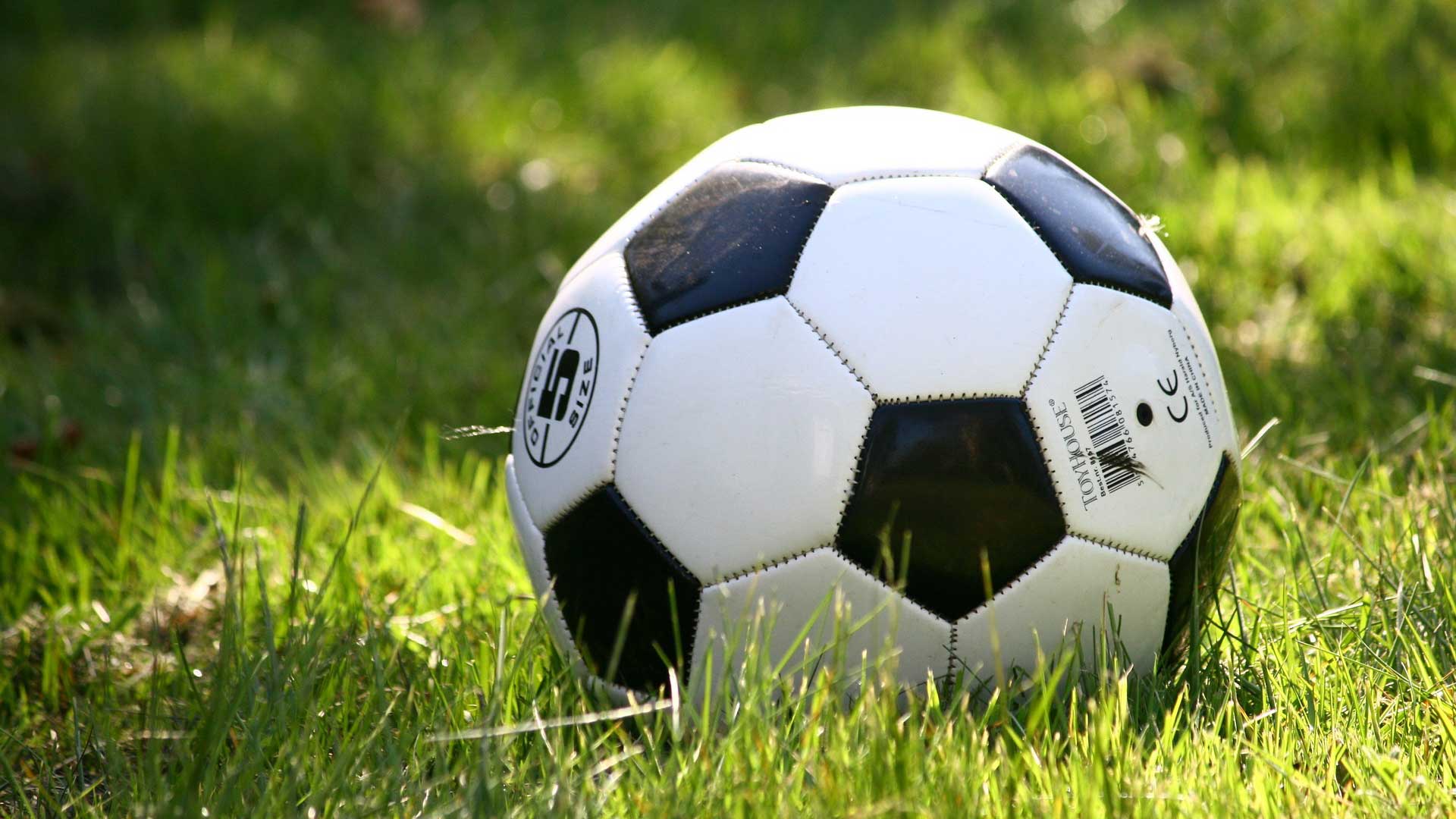 A photo of Soccer