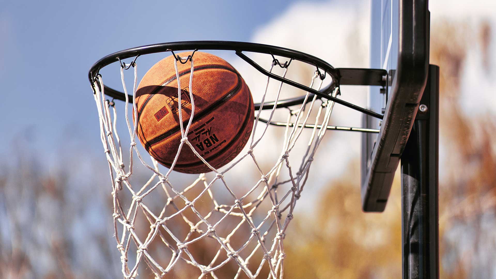 A photo of Sports